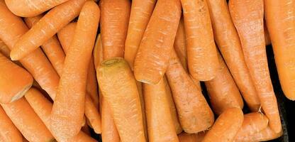 Fresh produce of carrots spring food vegetable. Fresh big orange carrot texture background photo