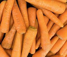 Fresh produce of carrots spring food vegetable. Fresh big orange carrot texture background photo