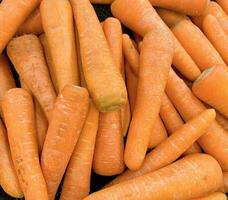 Fresh produce of carrots spring food vegetable. Fresh big orange carrot texture background photo