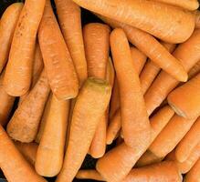 Fresh produce of carrots spring food vegetable. Fresh big orange carrot texture background photo