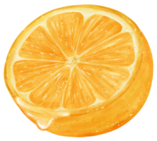 vattenfärg bit skivad skära orange frukt med juice droppa hand målad illustration png