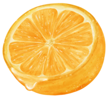 Watercolour piece sliced cut orange fruit with juice drip hand painted illustration png