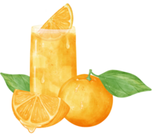 acuarela Fresco naranja Fruta jugo mano pintado ilustración png