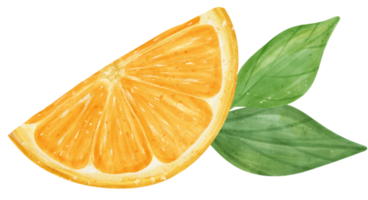 aguarela fresco laranja fruta mão desenhando pintado ilustração com composição png