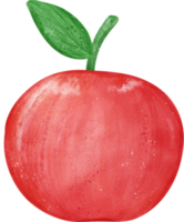 cute fresh whole red apple fruit watercolor png