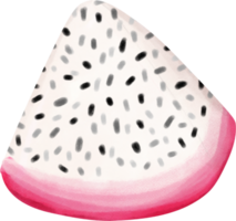 schattig tropisch pitaya draak fruit kwartaal besnoeiing waterverf hand- schilderij png