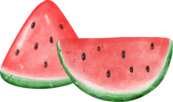 söt färsk vattenmelon frukt vattenfärg png