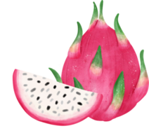 cute tropical pitaya dragon fruit watercolour hand painting png