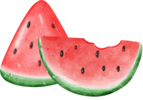 söt färsk vattenmelon frukt vattenfärg png