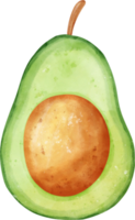 Watercolor fresh half opened avocado vegetable vibrant color hand drawing png