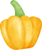 Watercolor fresh yellow bell pepper vegetable vibrant color hand drawing png