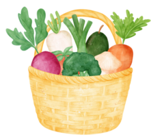 Watercolour vegetable wicker vintage basket png