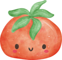 cute kawaii Watercolor fresh red tomato vegetable vibrant color hand drawing png