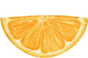 Aquarell Stück geschnitten Schnitt Orange Obst Hand gemalt Illustration png