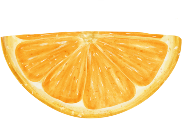Orange Slice PNGs for Free Download