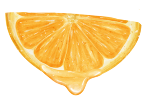Watercolour piece sliced cut orange fruit with juice drip hand painted illustration png
