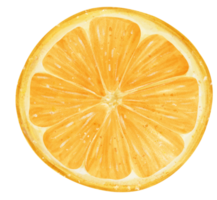 acuarela pedazo rebanado cortar naranja Fruta mano pintado ilustración png