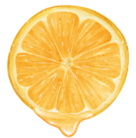 acuarela pedazo rebanado cortar naranja Fruta con jugo goteo mano pintado ilustración png