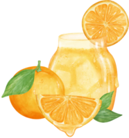 Watercolour fresh orange fruit juice hand painted illustration png