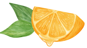 aguarela fresco laranja fruta mão desenhando pintado ilustração com composição png