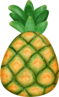 fofa fresco amarelo abacaxi todo fruta aguarela png