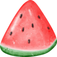 süß frisch Quartal Schnitt Wassermelone Obst Aquarell png