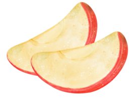 söt färsk skiva av röd äpple frukt vattenfärg png