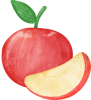 cute fresh whole red apple fruit watercolor png