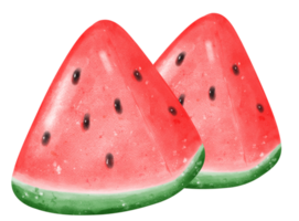 mignonne Frais pastèque fruit aquarelle png