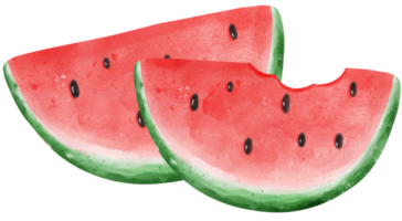 süß frisch Wassermelone Obst Aquarell png