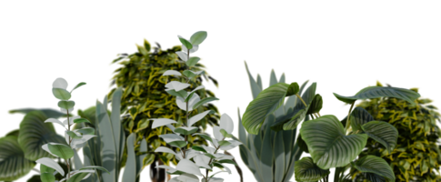 Plants, leaves on transparent background as png. Botanical foreground. Lower frame, border. Cut out graphic design element. 3D rendering. png