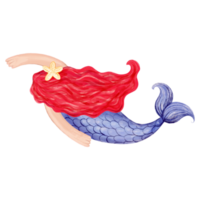 fairy Mermaid  PNG clipart