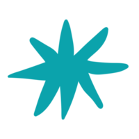 Starfish png clipart
