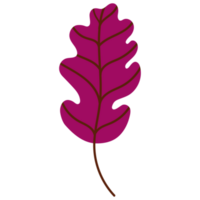 herfst gedaald blad png