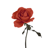 Rose realistic art png