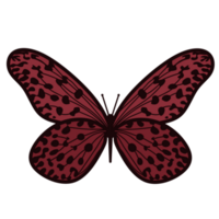 Butterfly pattern art png