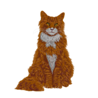 Cat art illustration png