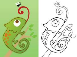 Vector cartoon of chameleon on tree branches with a fly, coloring book or page