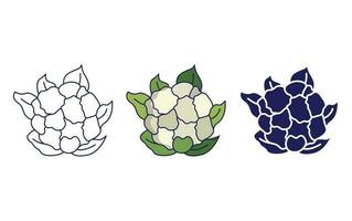 Cauliflower vector icon