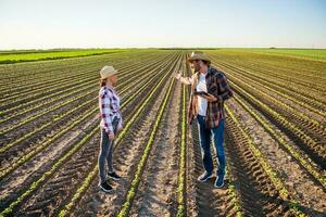 granjero Pareja en su tierra y plantación foto