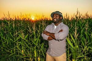 Farmer is standing in his growing corn field. photo