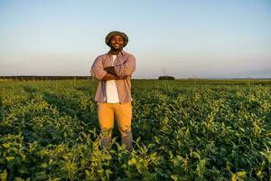 Farmer is standing in his growing soybean field. photo