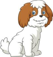 Cute dog cartoon on white background vector