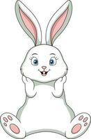 Cute white bunny cartoon on white background vector