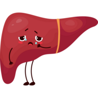 cartoon liver crying png