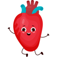 alegre desenho animado órgão coração png