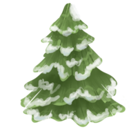 Watercolour pine tree png