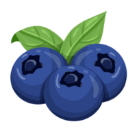 Blueberry clipart fruit Illustration png