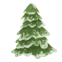 acuarela pino árbol png