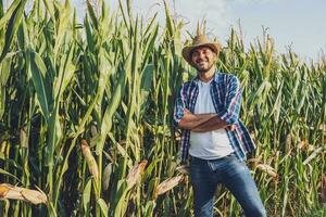 Farmer at a dry corn field crops photo